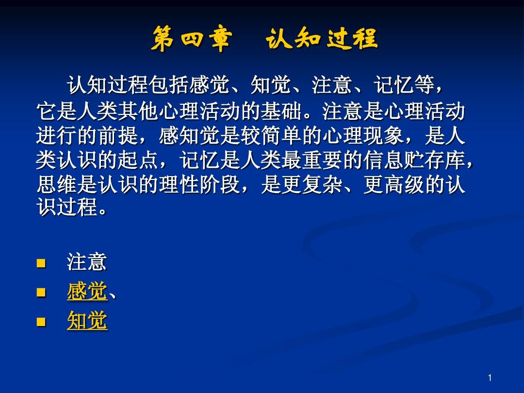 感知更新，小巷特色小店的隱藏魅力探索